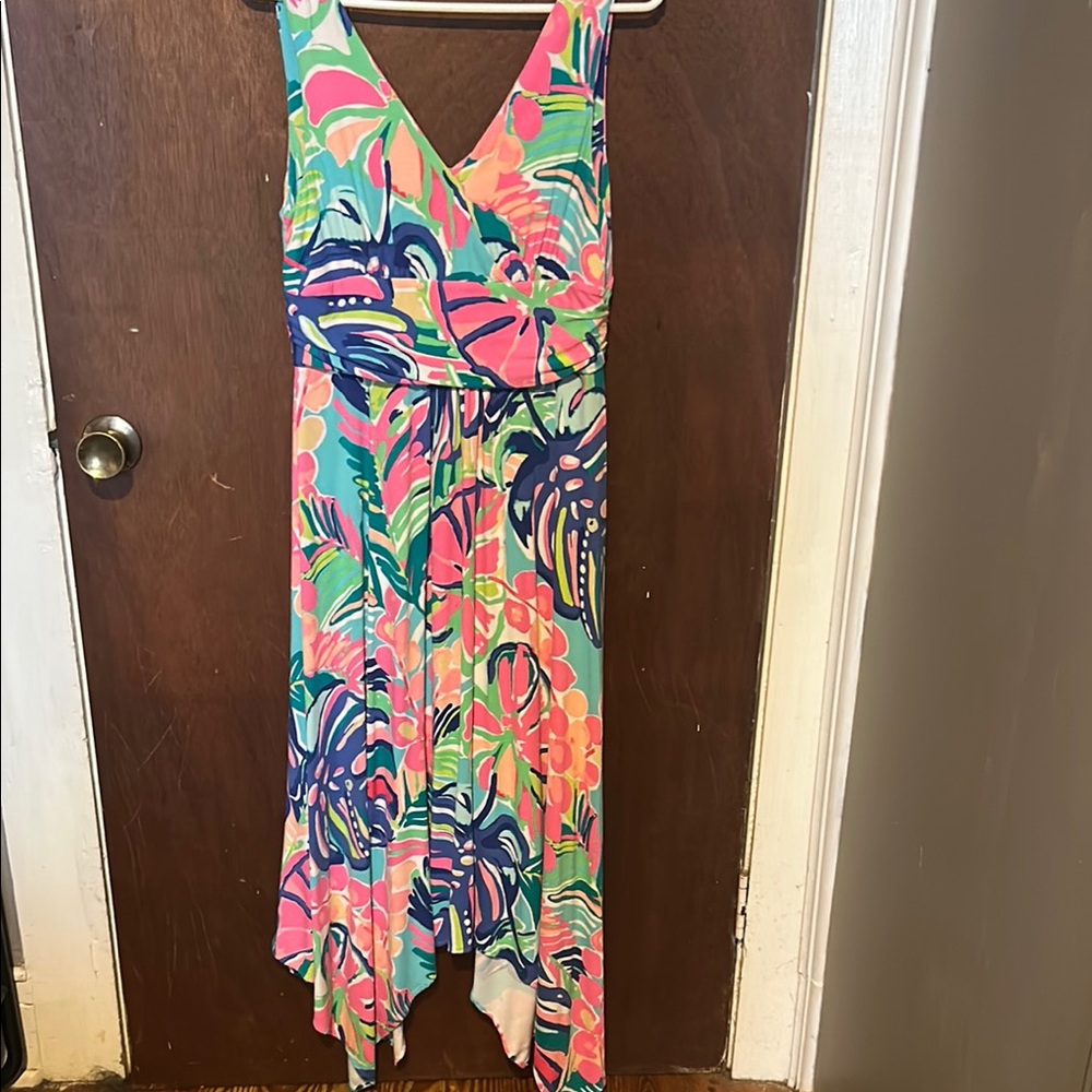 Lily Pulitzer large